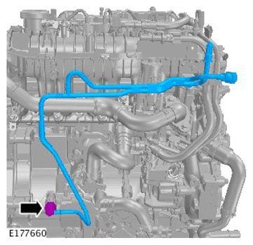 G11731246
