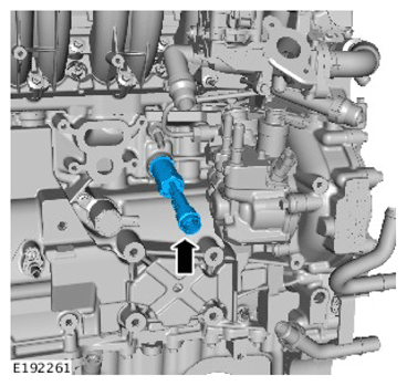 G11731248