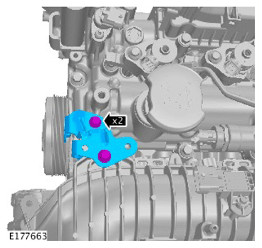 G11731254