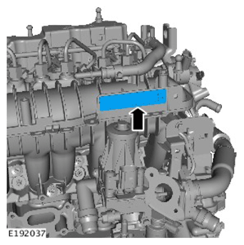 G11731255