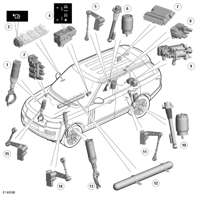 G11745344
