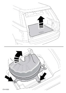 G11745348