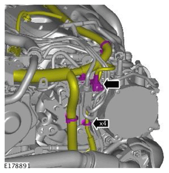 G11756426