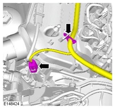 G11756437