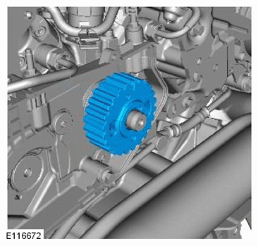 G11756484