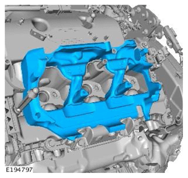 G11756495