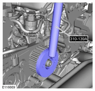 G11756539