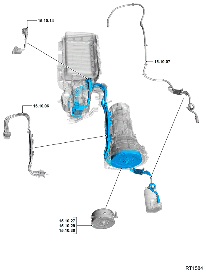 G11768096