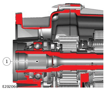G11768499
