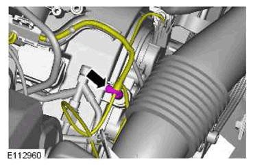 G11770507