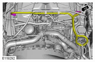 G11770559