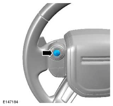 G11770562