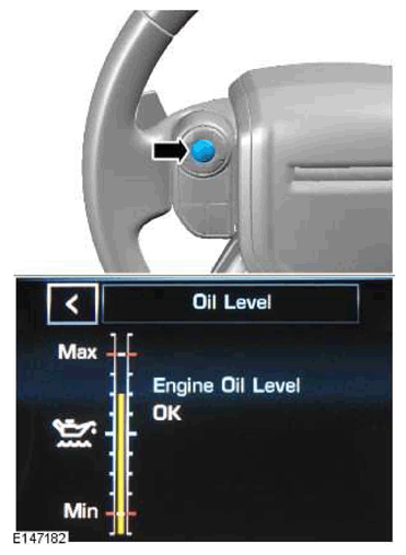 G11770571