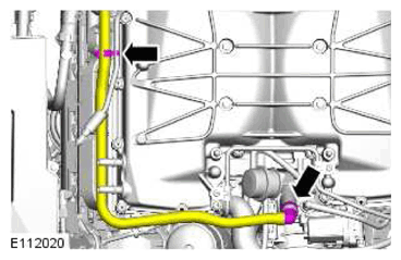 G11770578