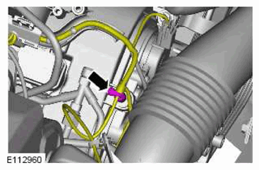 G11770580
