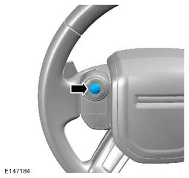 G11770613