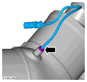 G11772175