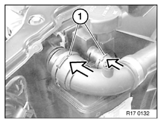 G11774454