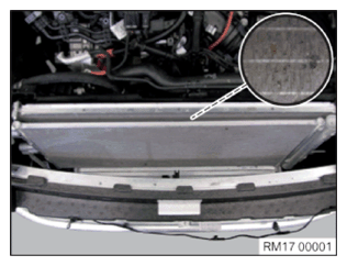 G11774459