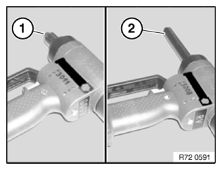 G11774675