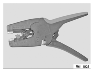 G11774821