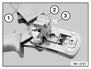 G11774853