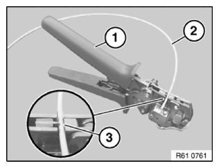 G11774875