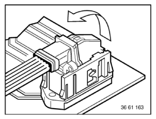 G11774919