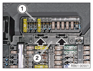G11775009