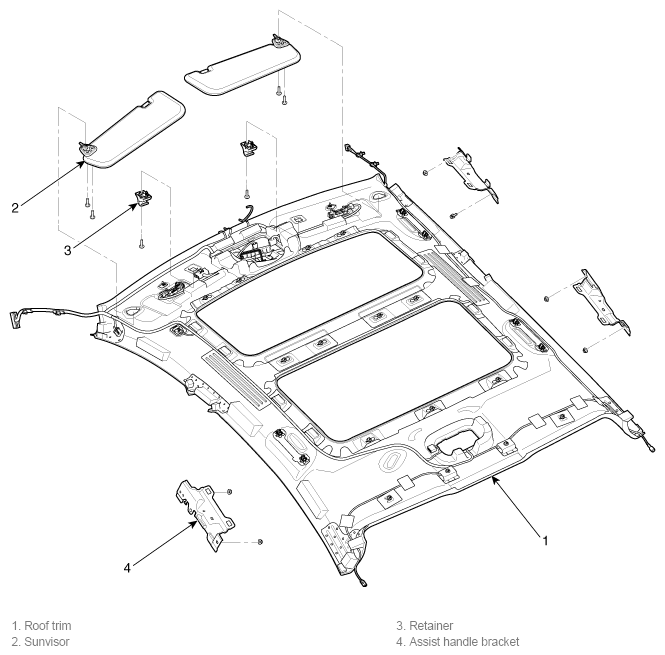 G11785204