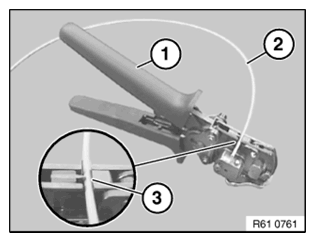 G11789345
