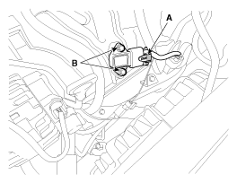 G11794861