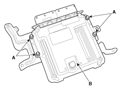 G11796897