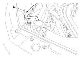 G11815435
