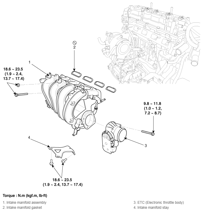 G11815503