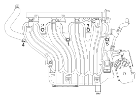 G11815517