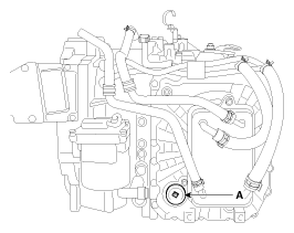 G11815893