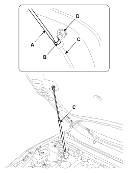 G11816898