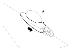 G11816961