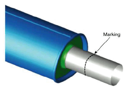 G11823091