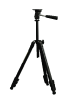 G11823150