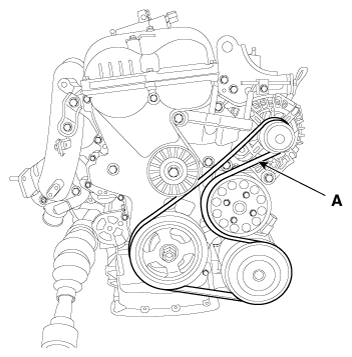 G11823249