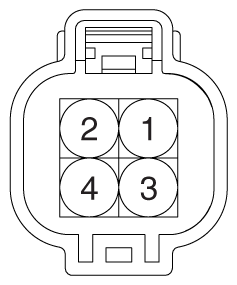 G11823481