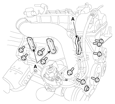G11823529