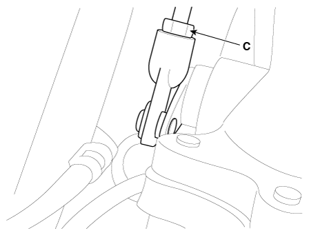 G11823541