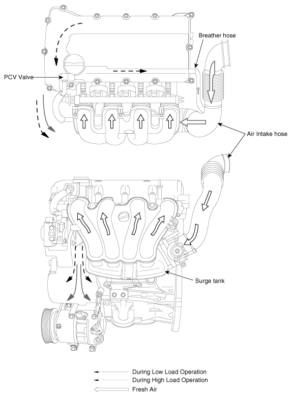 G11825876