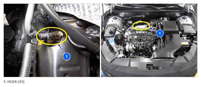 G11833051