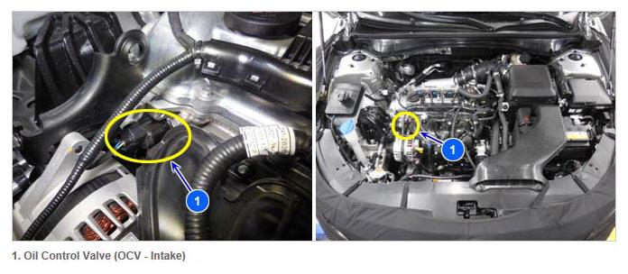 G11833145