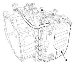 G11845509
