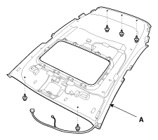 G11846316